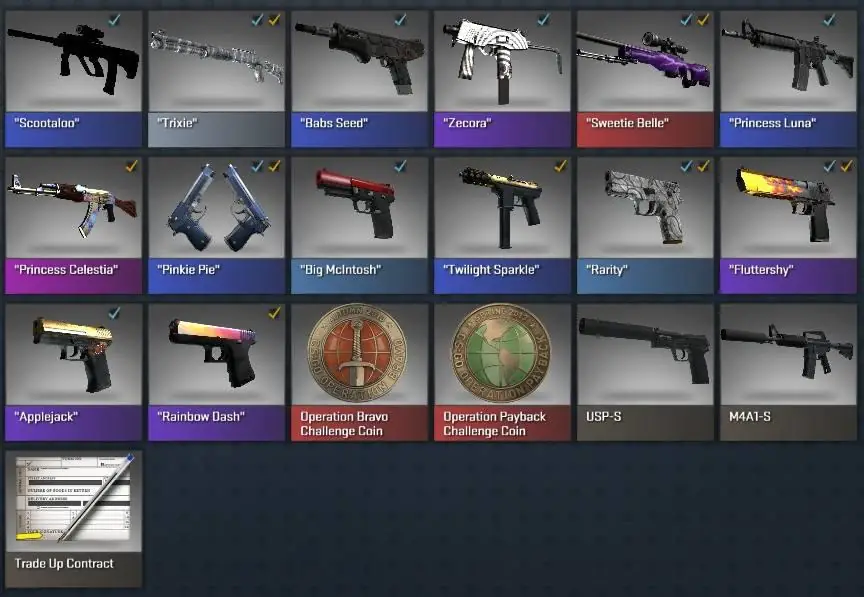 Screenshot CS2 3