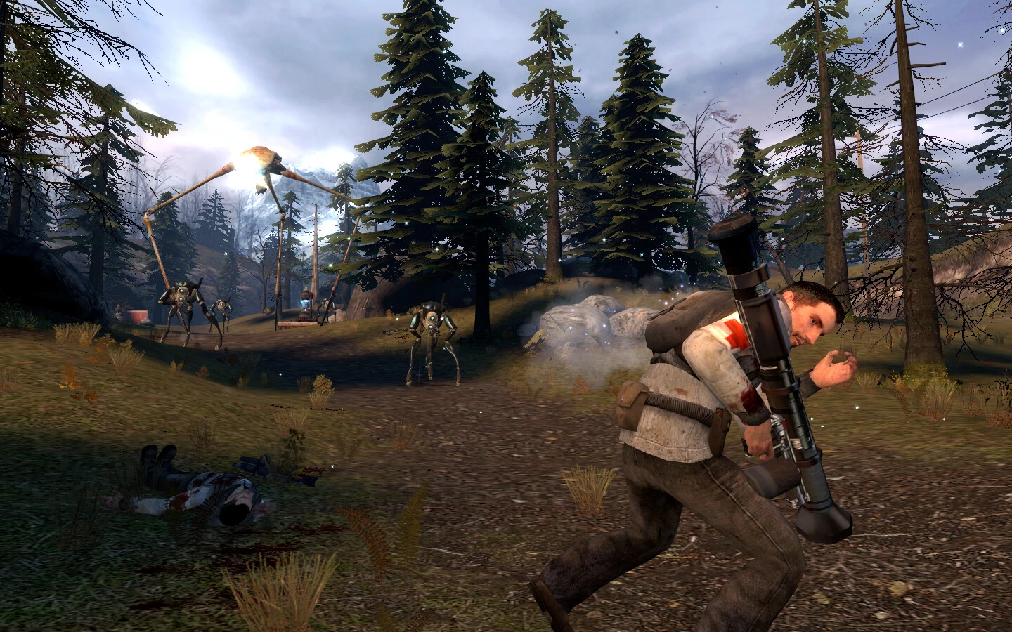Screenshot Half-Life 2 5
